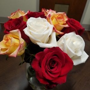 Meet your Posher, Lotis